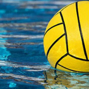 Meet your Posher, Hudson